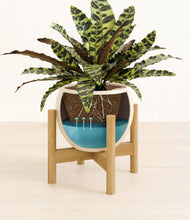 Load image into Gallery viewer, Shiny EggWhite stand:bamboo