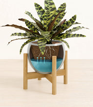 Load image into Gallery viewer, Deep Ocean stand:bamboo