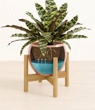 Load image into Gallery viewer, Calm Rose stand:bamboo