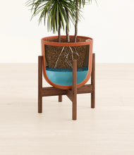 Load image into Gallery viewer, Earth Red stand:walnut