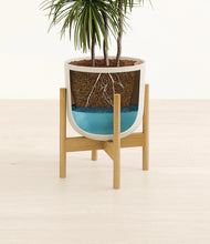 Load image into Gallery viewer, Natural Bamboo stand:bamboo