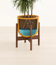 Load image into Gallery viewer, Sunset Orange stand:walnut