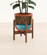 Load image into Gallery viewer, Earth Red stand:walnut