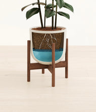 Load image into Gallery viewer, Natural Bamboo stand:walnut