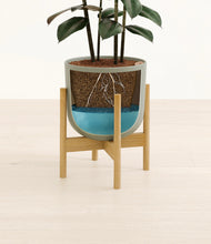 Load image into Gallery viewer, Sage Green stand:bamboo