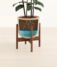 Load image into Gallery viewer, Sandy Pink stand:walnut