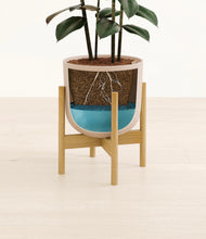 Load image into Gallery viewer, Sandy Pink stand:bamboo