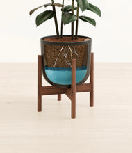 Load image into Gallery viewer, Stone Black stand:walnut