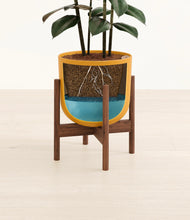 Load image into Gallery viewer, Sunset Orange stand:walnut