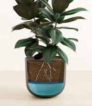 Load image into Gallery viewer, Stone Black