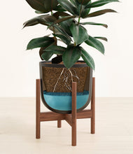 Load image into Gallery viewer, Stone Black stand:walnut