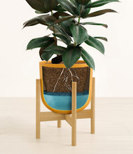 Load image into Gallery viewer, Sunset Orange stand:bamboo