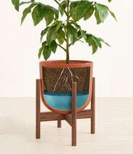 Load image into Gallery viewer, Earth Red stand:walnut