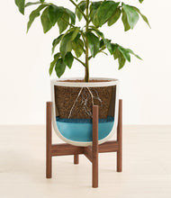 Load image into Gallery viewer, Natural Bamboo stand:walnut
