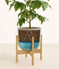 Load image into Gallery viewer, Sage Green stand:bamboo