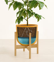 Load image into Gallery viewer, Sunset Orange stand:bamboo