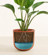 Load image into Gallery viewer, Earth Red