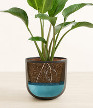 Load image into Gallery viewer, Stone Black