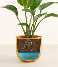 Load image into Gallery viewer, Sunset Orange