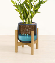 Load image into Gallery viewer, Deep Navy stand:bamboo