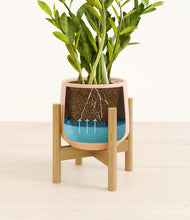 Load image into Gallery viewer, Gentle Pink stand:bamboo