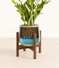 Load image into Gallery viewer, Turquoise stand:walnut