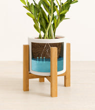 Load image into Gallery viewer, White stand:light