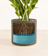 Load image into Gallery viewer, Dark Olive