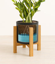 Load image into Gallery viewer, Black stand:light