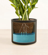 Load image into Gallery viewer, Black