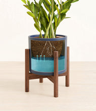 Load image into Gallery viewer, Deep Navy stand:walnut