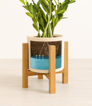 Load image into Gallery viewer, Cream stand:light