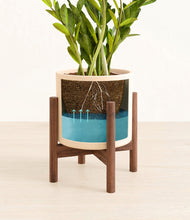 Load image into Gallery viewer, Cream stand:walnut