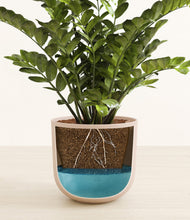 Load image into Gallery viewer, Sandy Pink