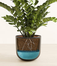 Load image into Gallery viewer, Stone Black