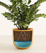 Load image into Gallery viewer, Sunset Orange