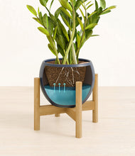 Load image into Gallery viewer, Deep Navy stand:bamboo