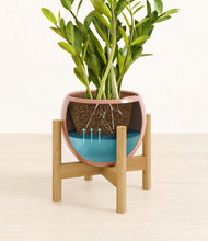 Load image into Gallery viewer, Calm Rose stand:bamboo