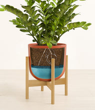 Load image into Gallery viewer, Earth Red stand:bamboo