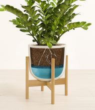 Load image into Gallery viewer, Natural Bamboo stand:bamboo