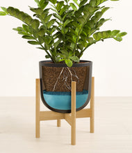 Load image into Gallery viewer, Stone Black stand:bamboo