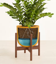 Load image into Gallery viewer, Sunset Orange stand:walnut