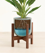 Load image into Gallery viewer, Reactive Aqua stand:walnut