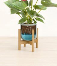 Load image into Gallery viewer, Reactive Aqua stand:bamboo