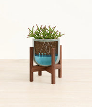 Load image into Gallery viewer, -