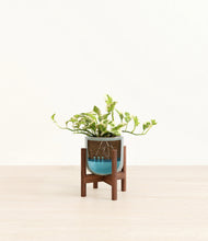 Load image into Gallery viewer, Reactive Aqua stand:walnut