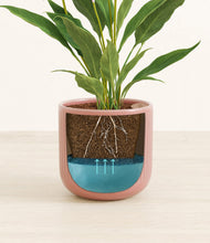 Load image into Gallery viewer, Striped Rose Pink