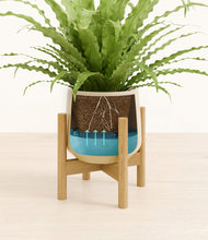 Load image into Gallery viewer, Almond Green stand:bamboo