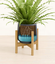 Load image into Gallery viewer, Deep Navy stand:bamboo