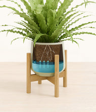 Load image into Gallery viewer, Turquoise stand:bamboo